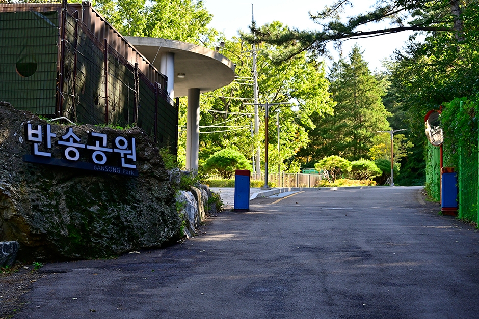 盘松公园