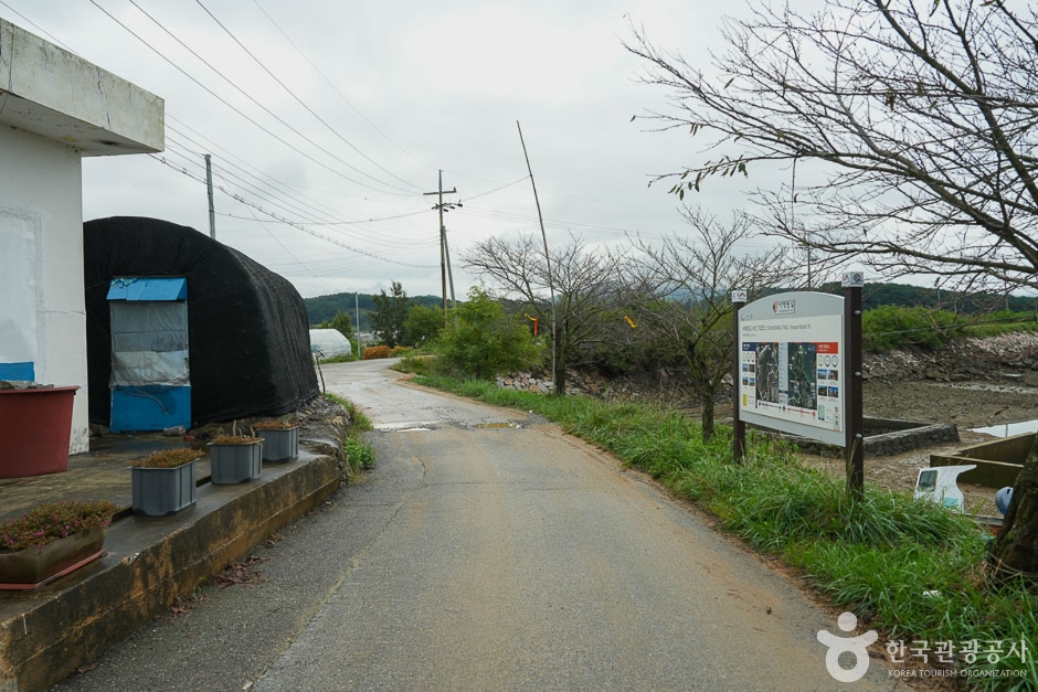 [Seosan Arame Trail] Gudo Beommeori Trail