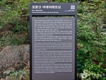 대전 보문산마애여래좌상 (4)