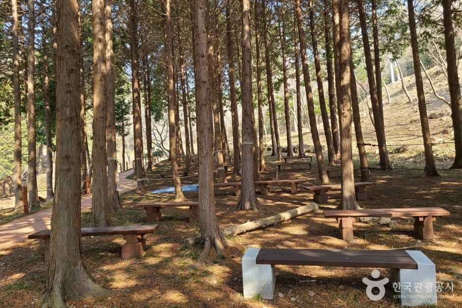 운림산림욕장