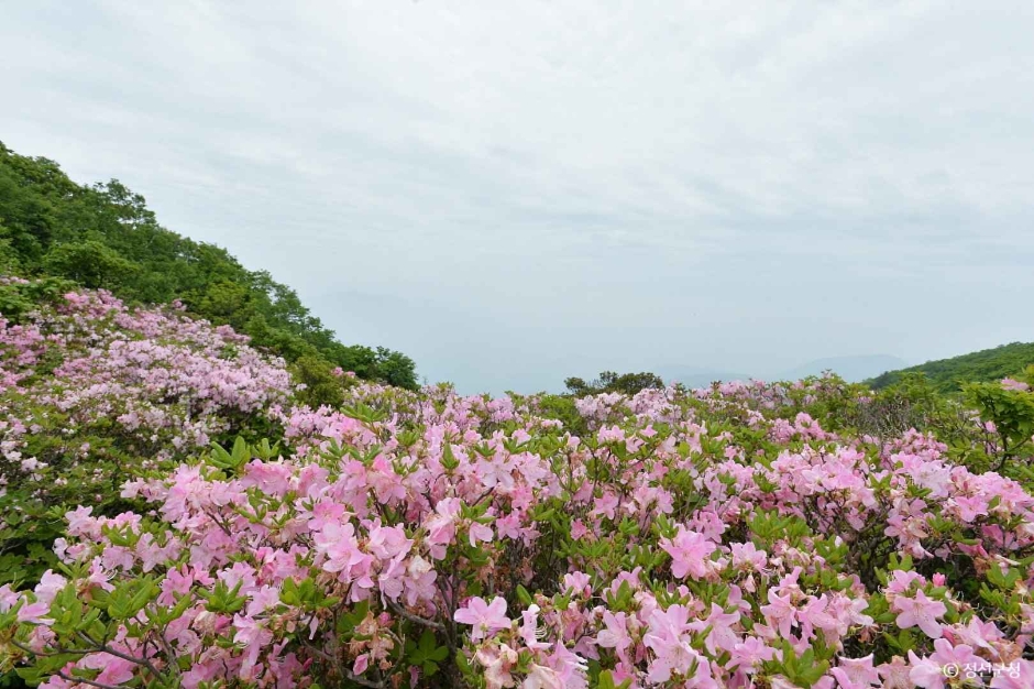 斗渭峰