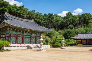 유하사(안동) 사진 5