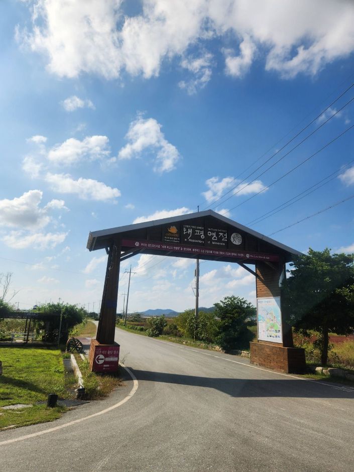 太平塩生植物園
