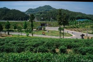 봇재