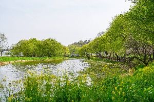 금장대 수변공원