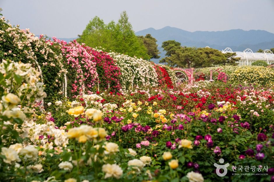 Seomjingang Rose Park