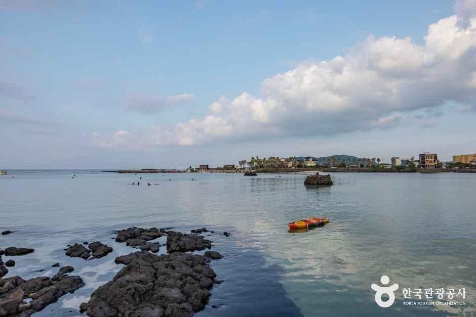 제주신흥해수욕장