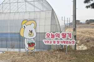 Onurui Ttalgi (Today's Strawberry) (오늘의 딸기)