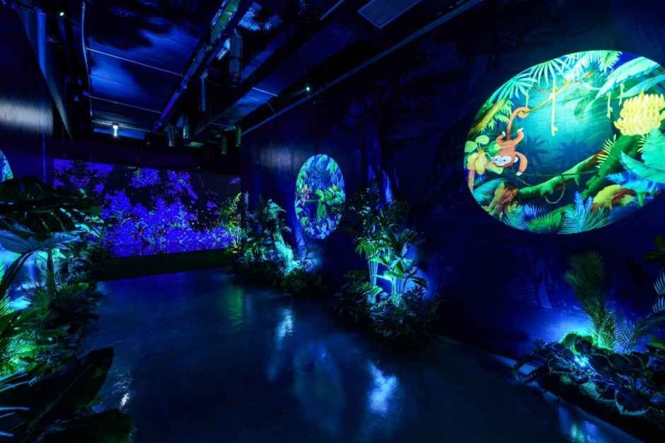 정글미디어파크