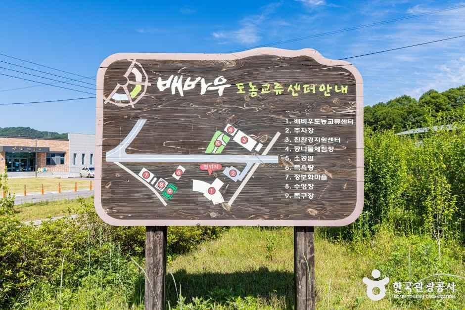 배바우청정 정보화마을