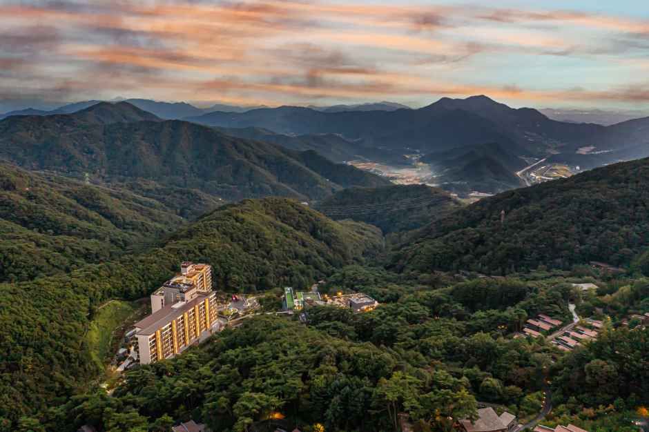 Forest Resom Have 9 Wellness Spa (포레스트 리솜 해브나인 웰니스 스파)