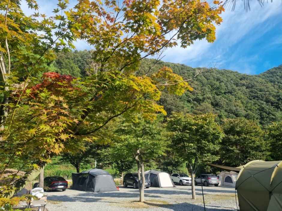 수입리캠핑장