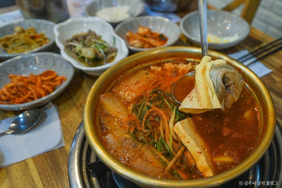 곰선생동태씨 사진 2
