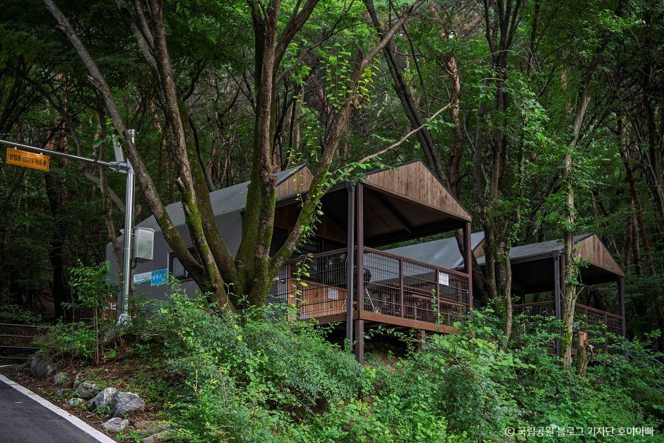 계룡산동학사야영장