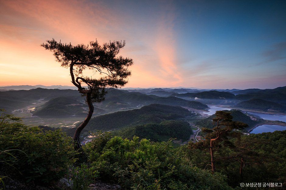 보성_오봉산(보성) (3).jpg