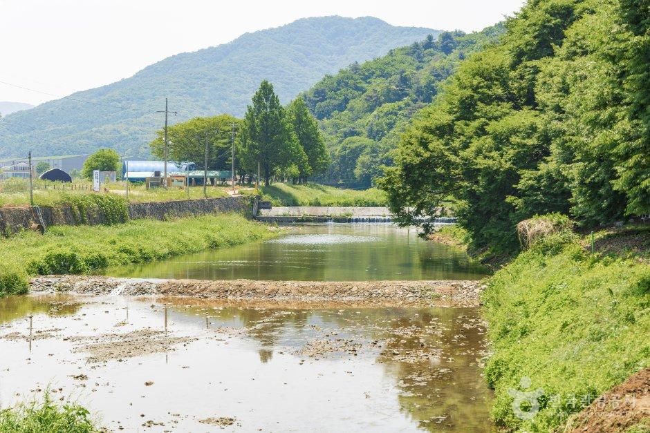 마장리계곡