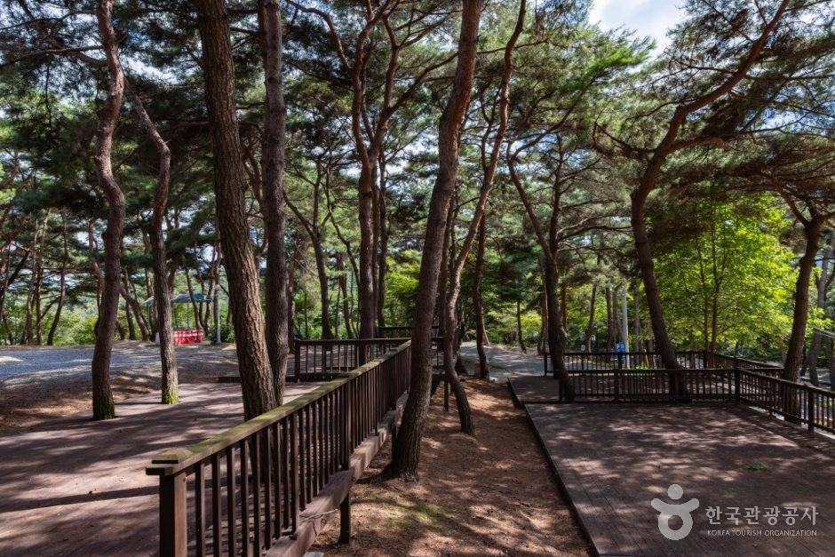 용봉산캠핑장