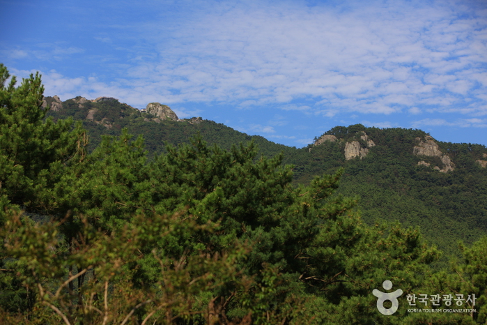 미륵산(통영) 미륵산(통영)