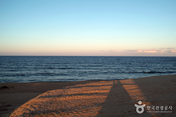 남항진해변(남항진해수욕장) 남항진해변(남항진해수욕장)