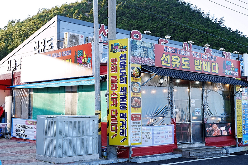 Seonyudo Night Sea