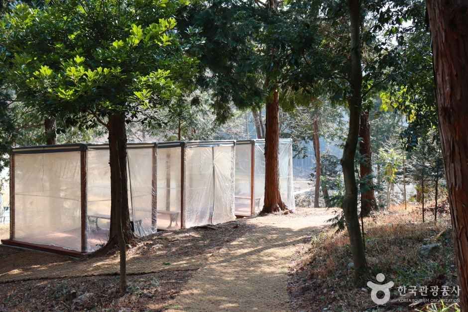 운림산림욕장