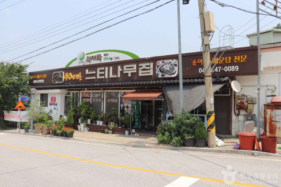 槐树刺身店