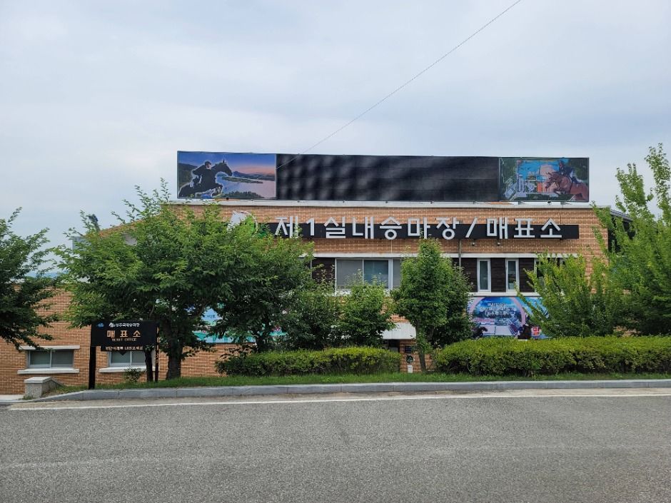 尚州国际马场