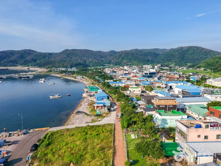 陽浦港