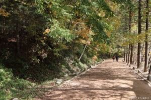 오대산 선재길 사진 4