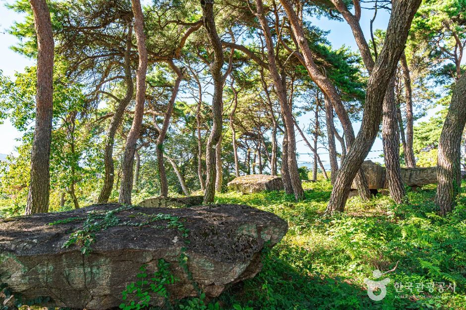 Dolmen Cluster of Yongwol-ri, Hampyeong