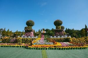 2025 익산천만송이 국화축제 10
