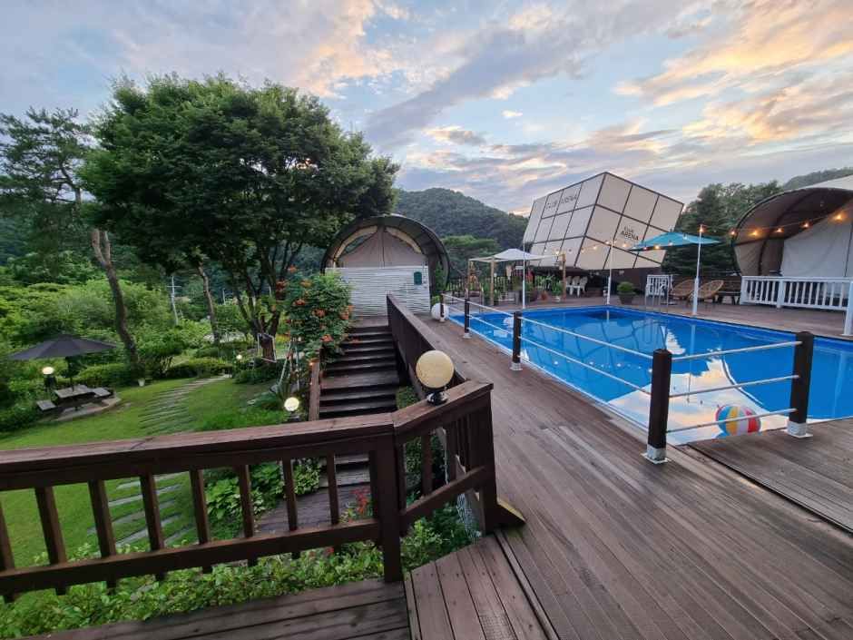 홍천_아레나펜션_수영장 (3).jpg