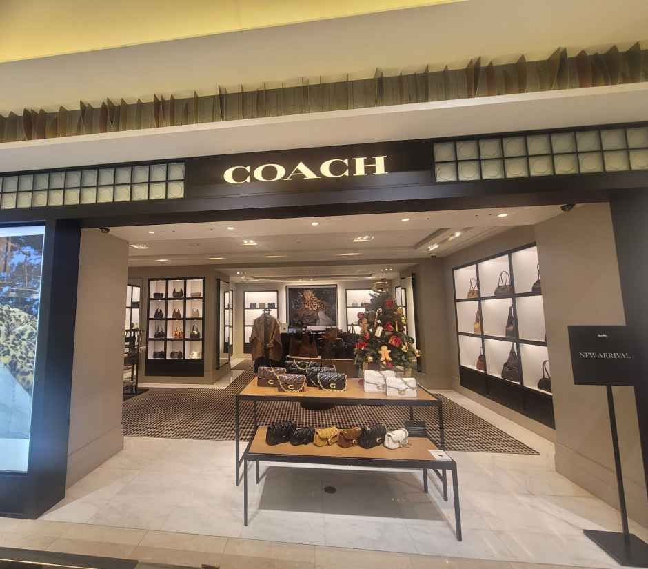 코치 롯데백화점 강남점