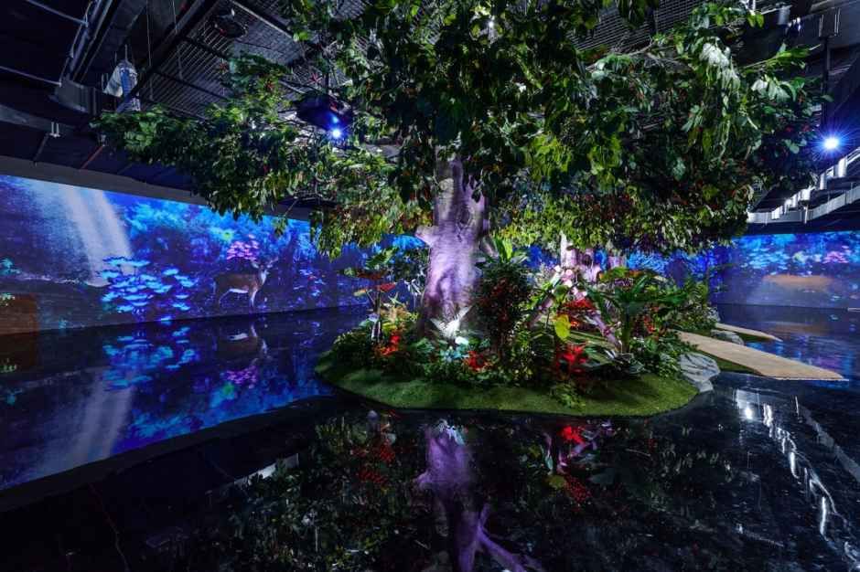 정글미디어파크