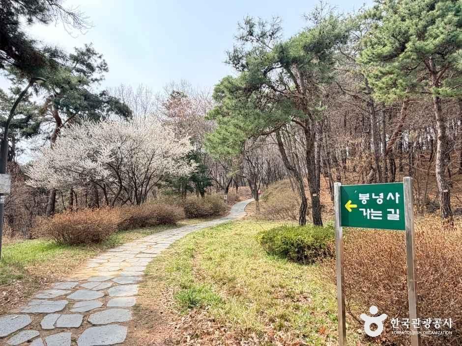 경기_수원_봉녕사_외부_사진 2.jpg