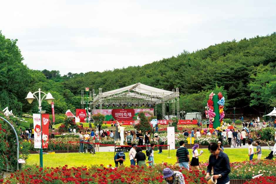 蔚山大公園 バラ祭り