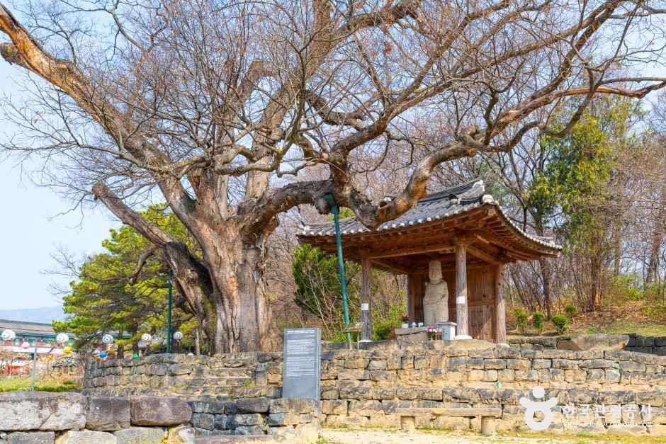증평 미암리 석조관음보살입상