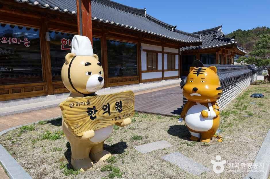 영천한의마을