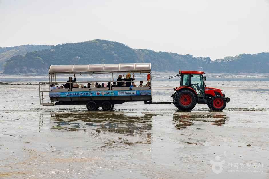 Seonjaedo Island (Seonjaedo Fishing Experience Village)