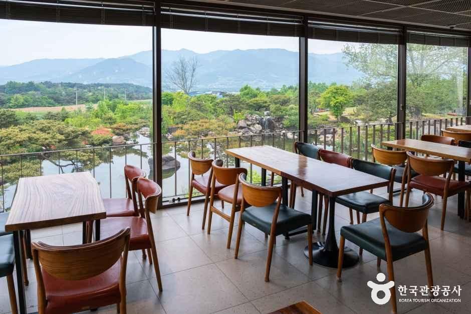 반야원 플라타너스