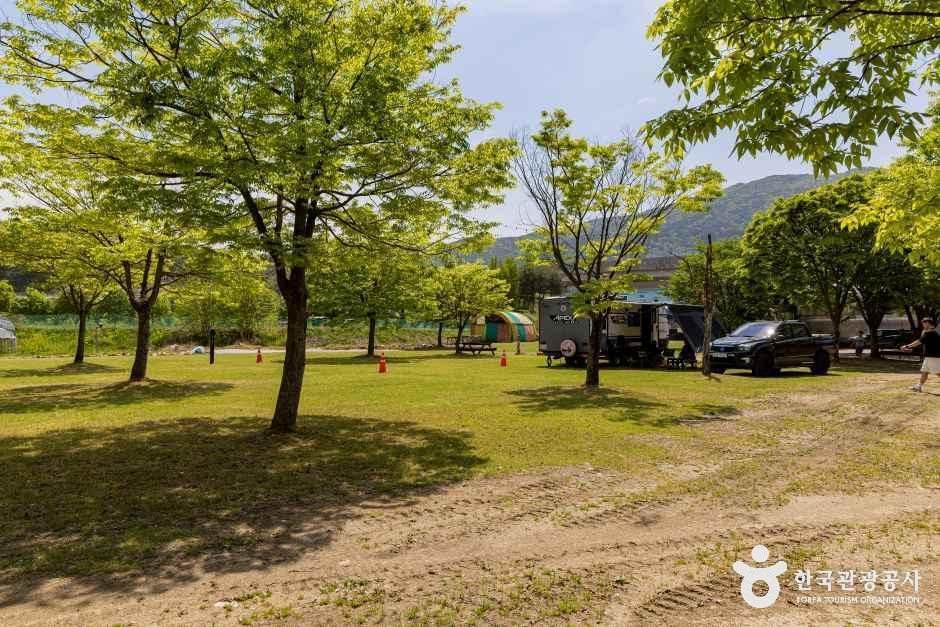 시냇가 캠핑장
