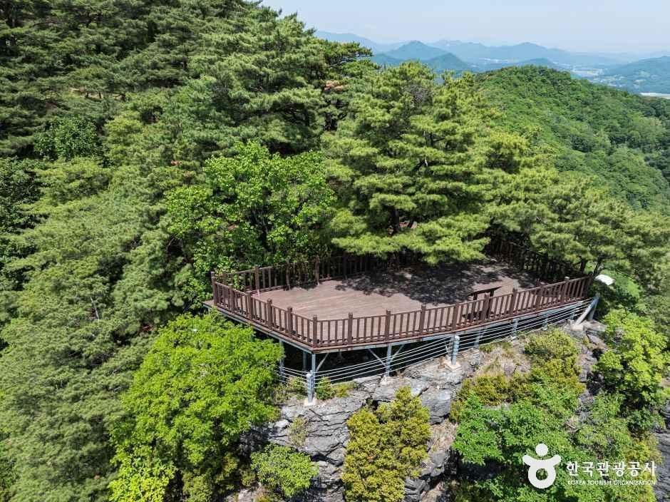 [청풍호자드락길 6코스] 괴곡성벽길