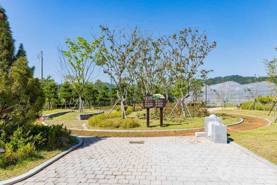 배바우청정 정보화마을