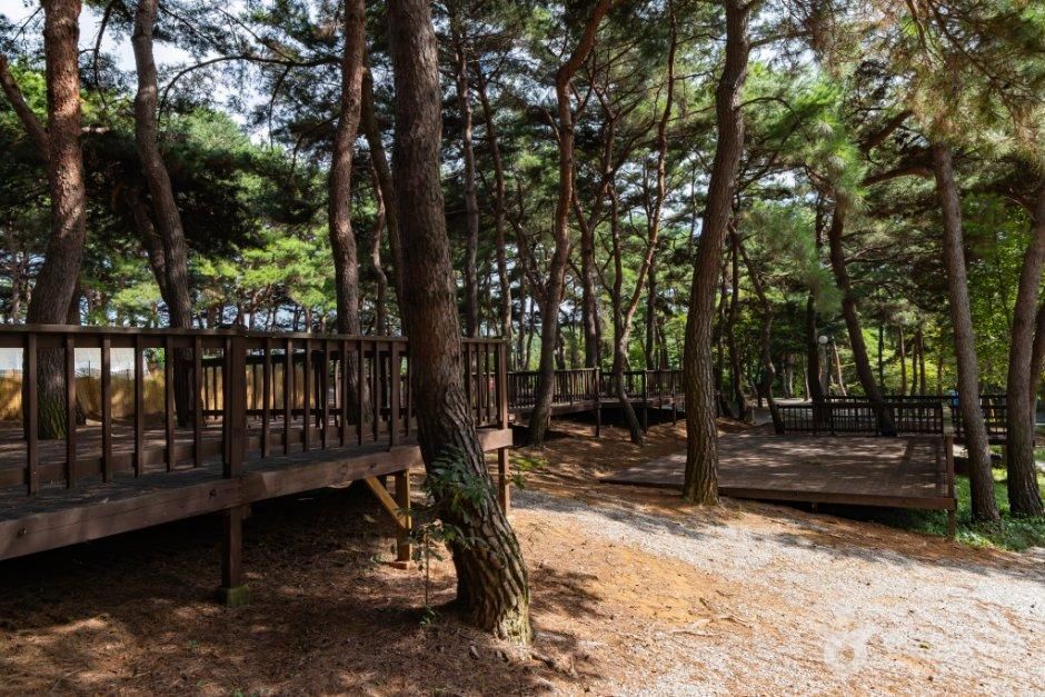 용봉산캠핑장