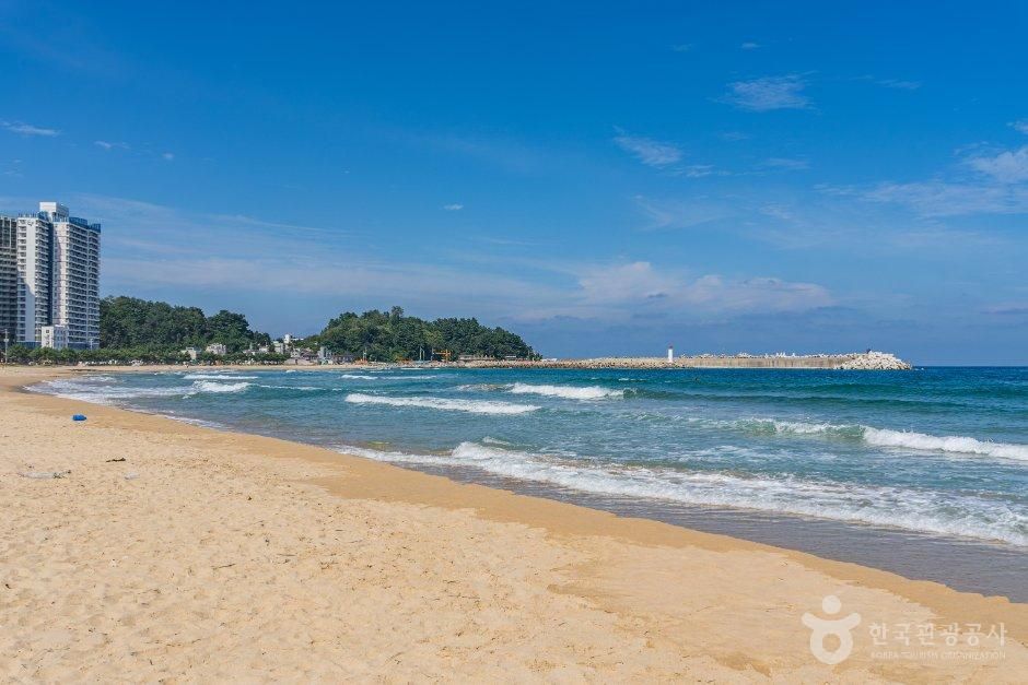 죽도해수욕장