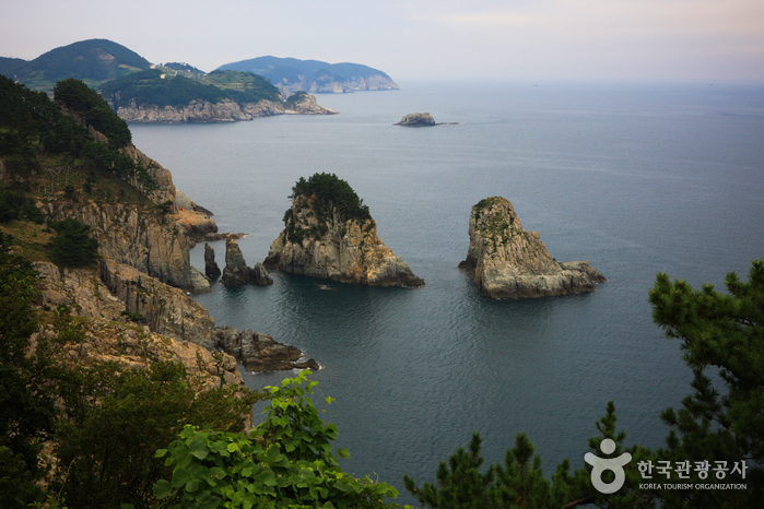 葛島