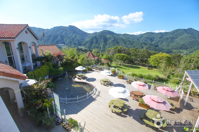 Hamiang Wine Valley