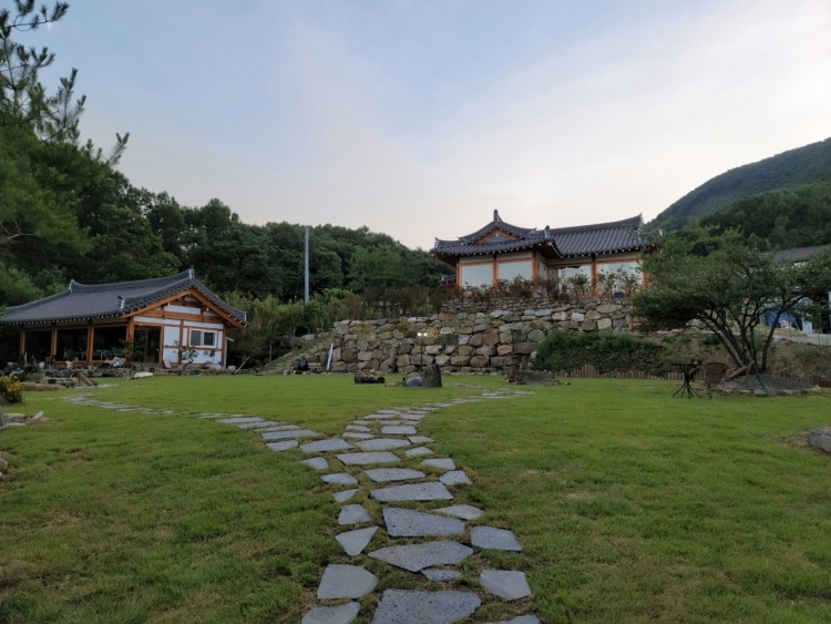韩屋庭院 森林