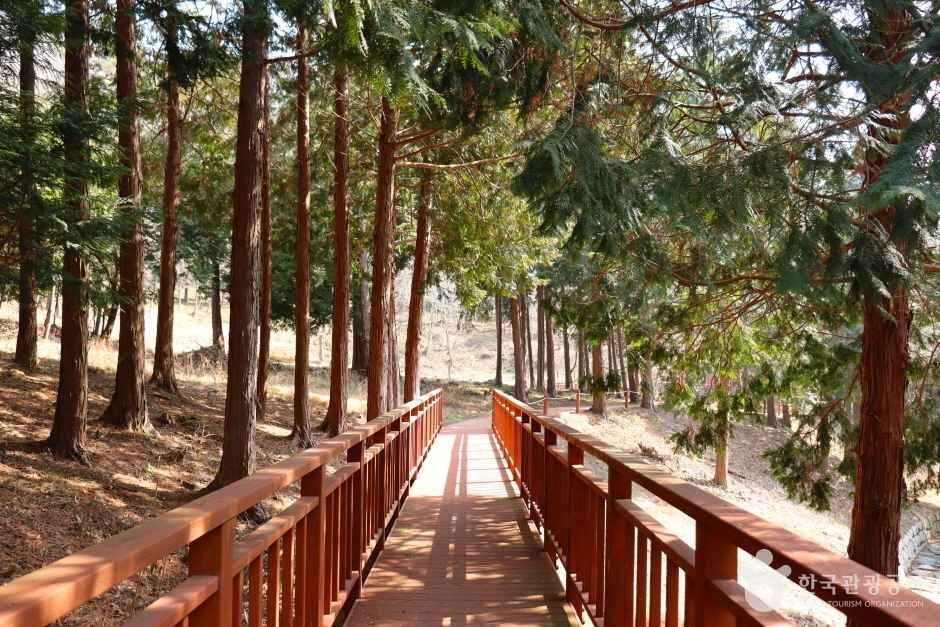 Unrim Forest Bathing Area