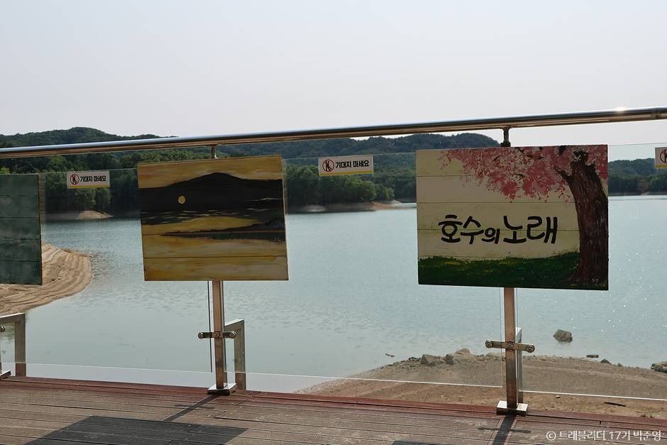 샤스타데이지 명소부터 루지 체험까지! 평창&middot;횡성 여행 추천_횡성호수길(5구간)_4-10